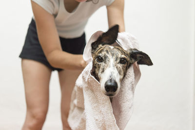 Midsection of woman with dog