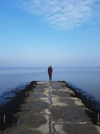 Rear view of man standing on beach against sky