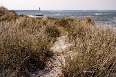 Scenic view of beach against sky