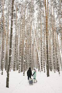 Man and woman sledding daughter amidst birch trees in winter forest