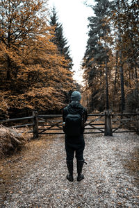 A man wearing a backpack standing on an autumn forest path