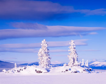 Snow covered land against blue sky