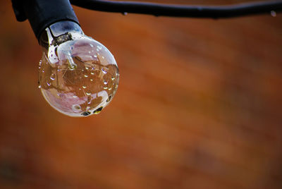 Close-up of bubbles in water