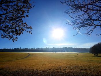 Scenic view of field against bright sun