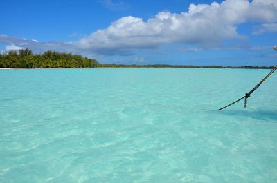 The blue lagoon in bora bora