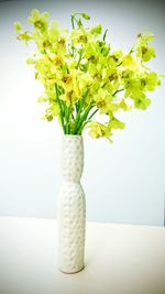 Close-up of vase on white background