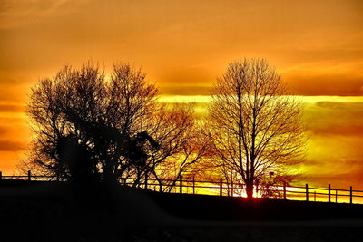 Silhouette trees against dramatic sky during sunset