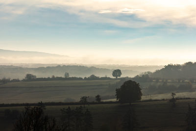 Scenic view of landscape against sky