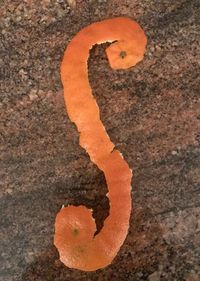 Close-up of orange leaf on rock