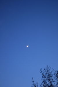 Low angle view of moon against blue sky at night