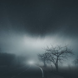 Silhouette trees against clear sky at night