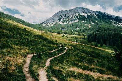 Scenic view of landscape against sky