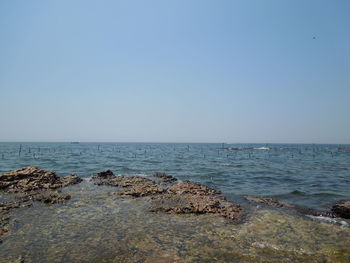 Scenic view of sea against clear sky