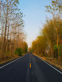 Empty road along trees and plants