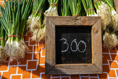 Potted plants on table with text against the wall