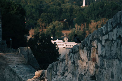 Panoramic shot of buildings and mountains