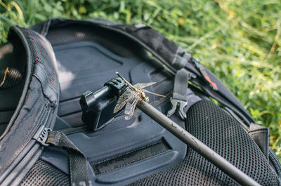 Dragonfly sitting on tourist backpack in nature. outdoor recreation, aquatic insects.