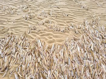 Full frame shot of sandy beach