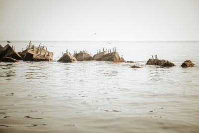 Scenic view of sea against clear sky
