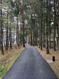 Road amidst trees in forest