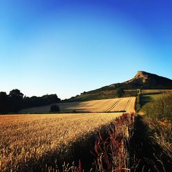 Scenic view of field against clear blue sky