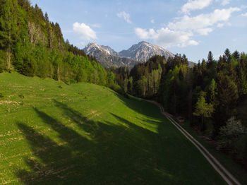 Scenic view of trees growing on mountains against sky