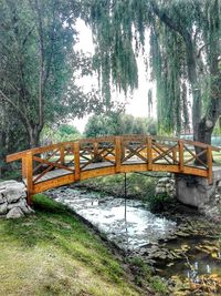 Bridge over river amidst trees in forest