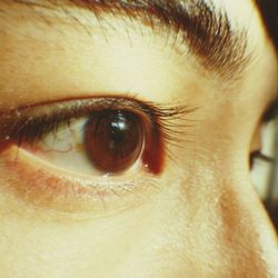 Extreme close up of human eye