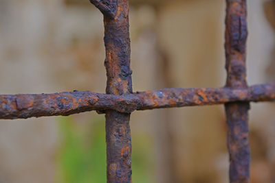 Close-up of rusty metal fence