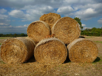 Hay bales on field against sky