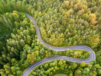 High angle view of road amidst trees