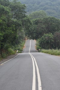 Empty road along trees