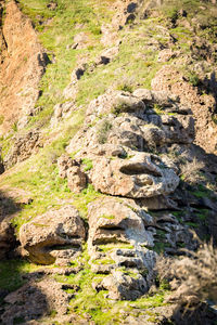 High angle view of rocks on land