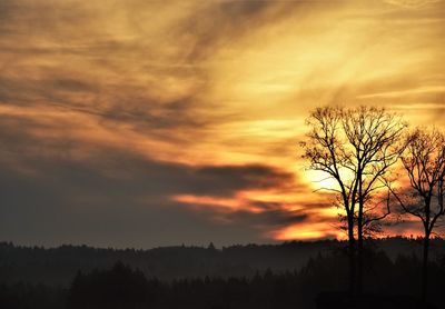 Silhouette bare trees on field against orange sky