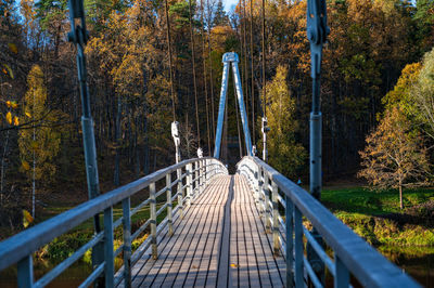 Footbridge amidst trees in forest during autumn