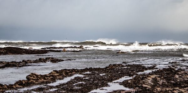 Scenic view of beach against sky