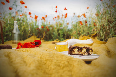 Close-up of ice cream on table