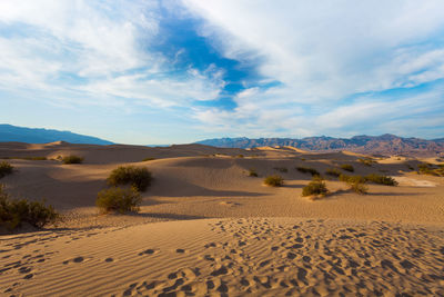 Scenic view of desert against sky