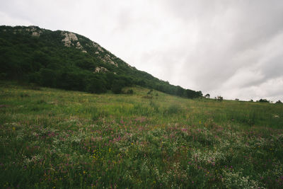 Scenic view of grassy field against cloudy sky