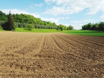 Scenic view of field against sky