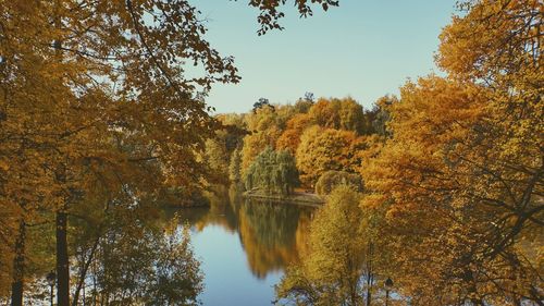 Reflection of trees on lake during autumn