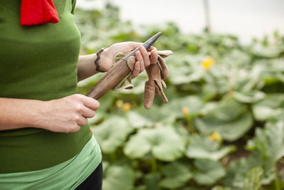 Midsection of woman holding gardening tool in a polytunnel .