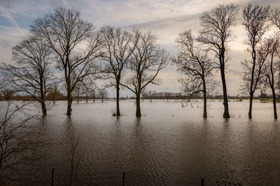 The flooded floodplains and the many hiking trails during weeks of heavy downpour,  the netherland