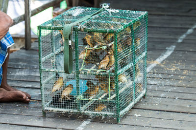 Close-up of man holding fishing net