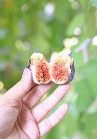 Close-up of hand holding fruit