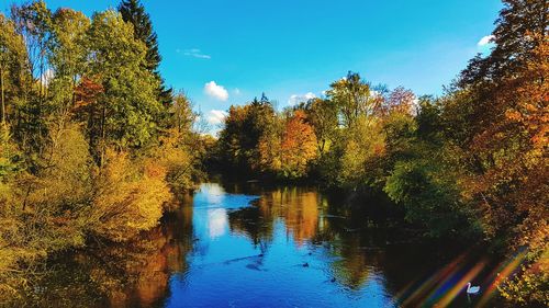 Reflection of trees in pond during autumn