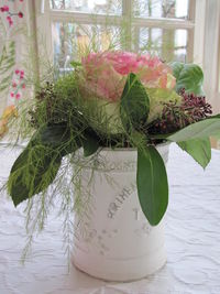 Close-up of potted plant