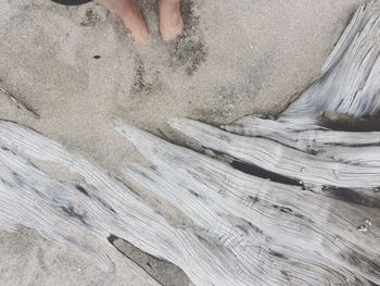 Low section of person on sand at beach