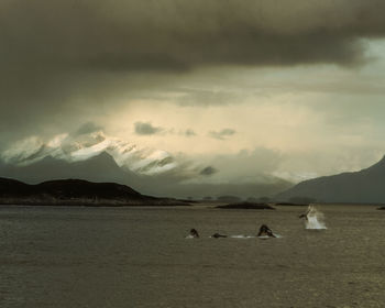 Scenic view of sea and mountains against sky