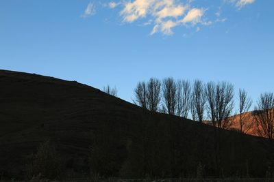 Low angle view of bare trees against sky